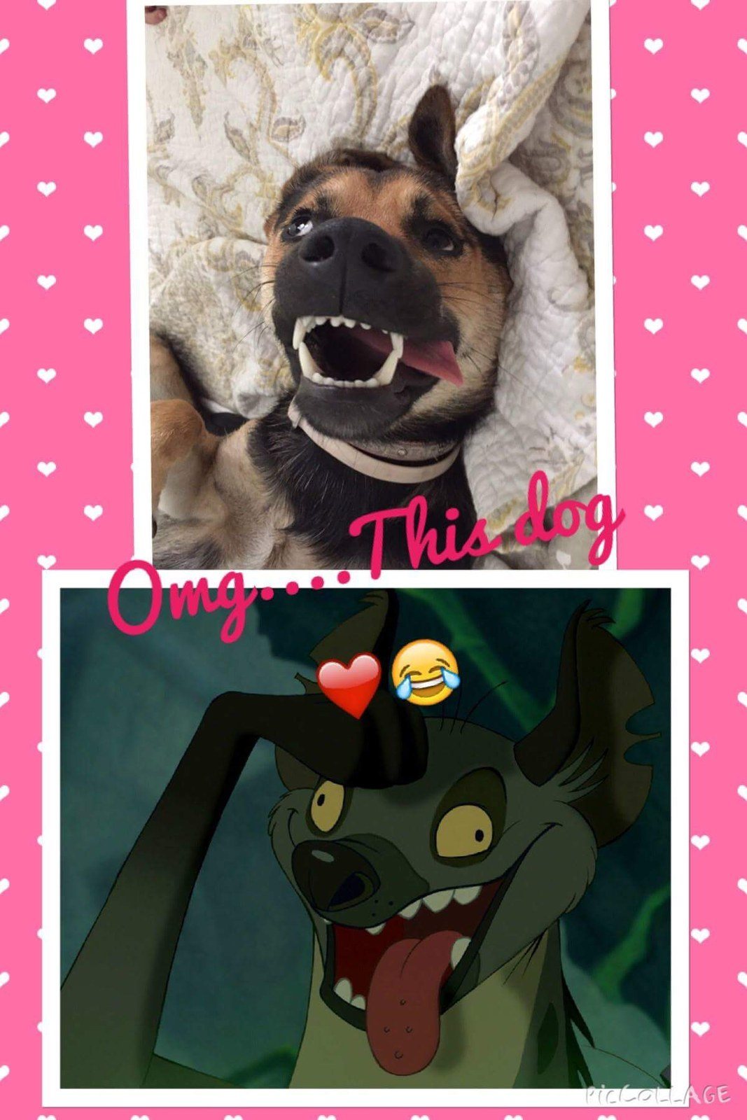 Puppy Or Lion King Hyena??