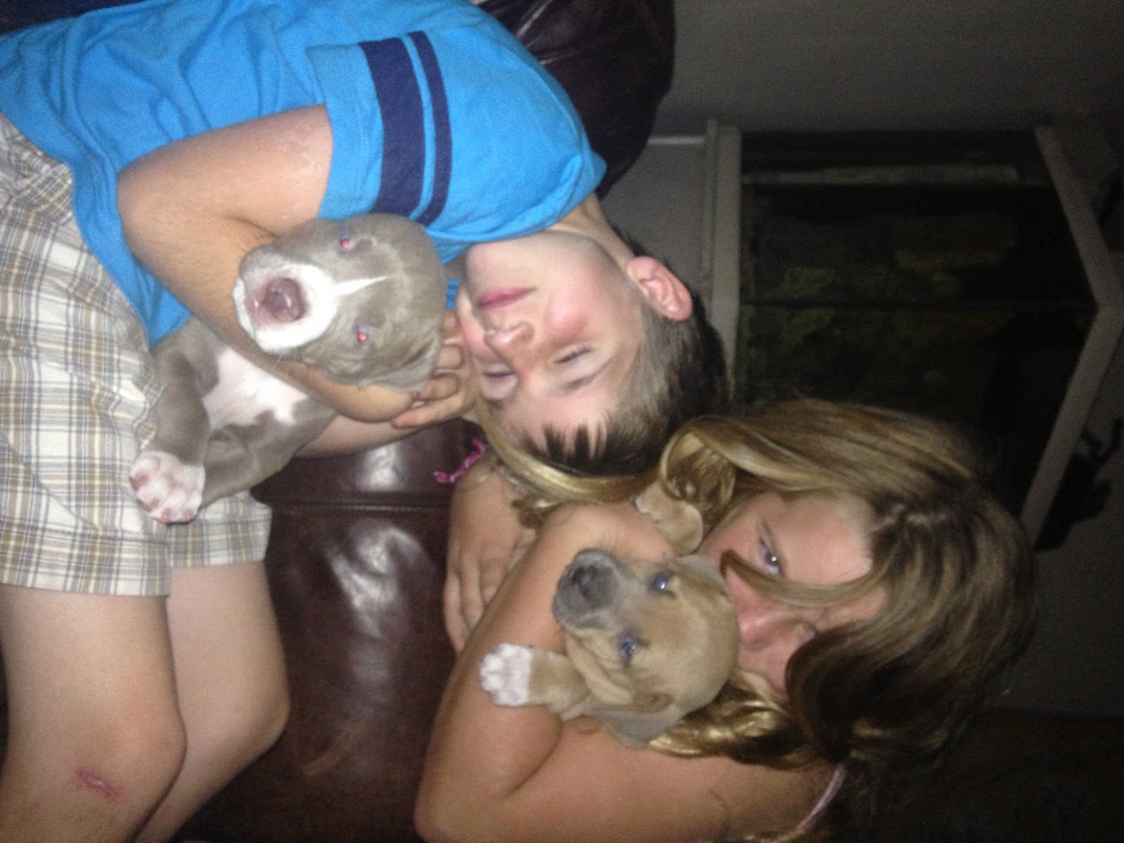 Puppy Love