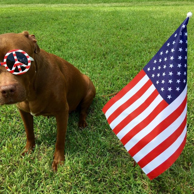 America