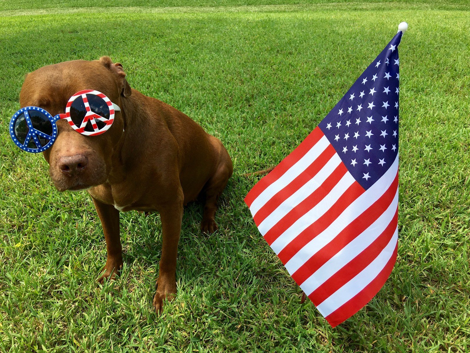 America