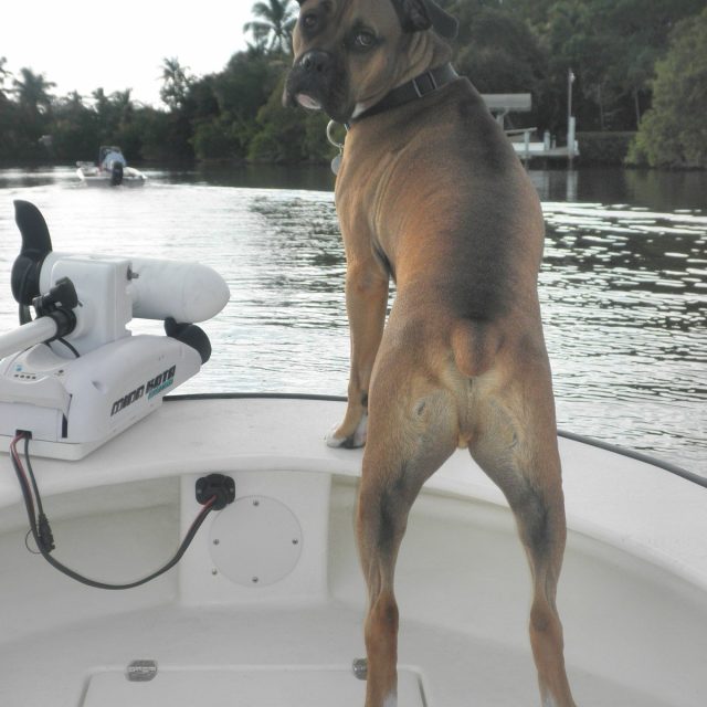 Otis Loves Fishing At Dark Thirty