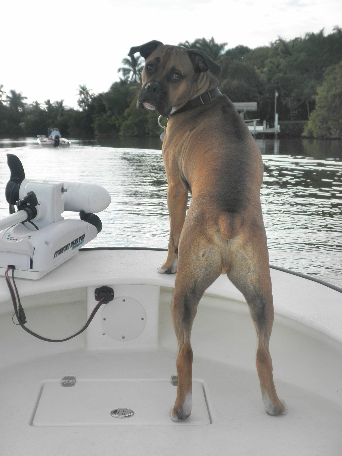 Otis Loves Fishing At Dark Thirty