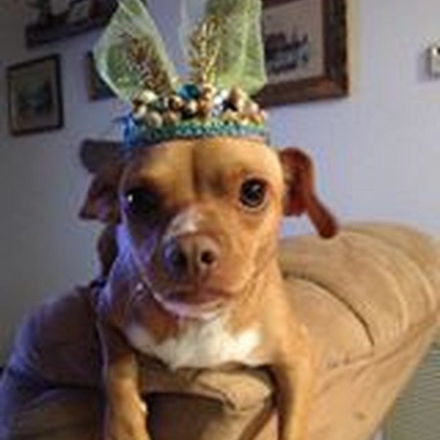 I Am The Queen Of The House