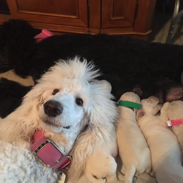 Daphne Photo Bombing!
