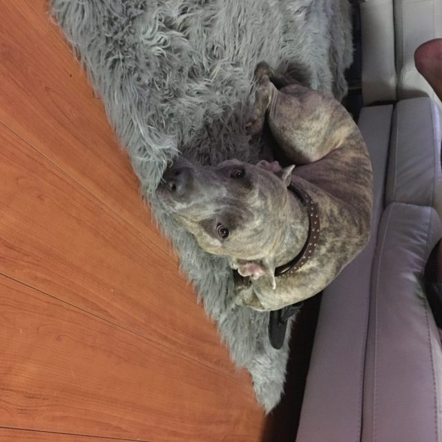 Dexter