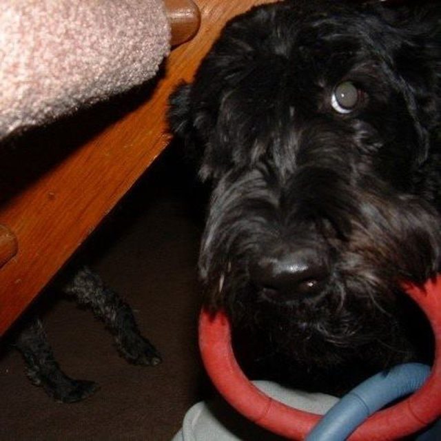 Play With Me