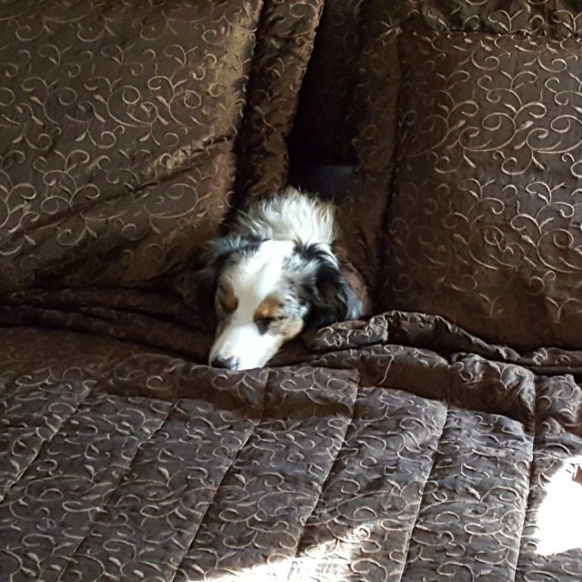 Just Make The Bed Around Me. Tx, Zzzzzzzz.
