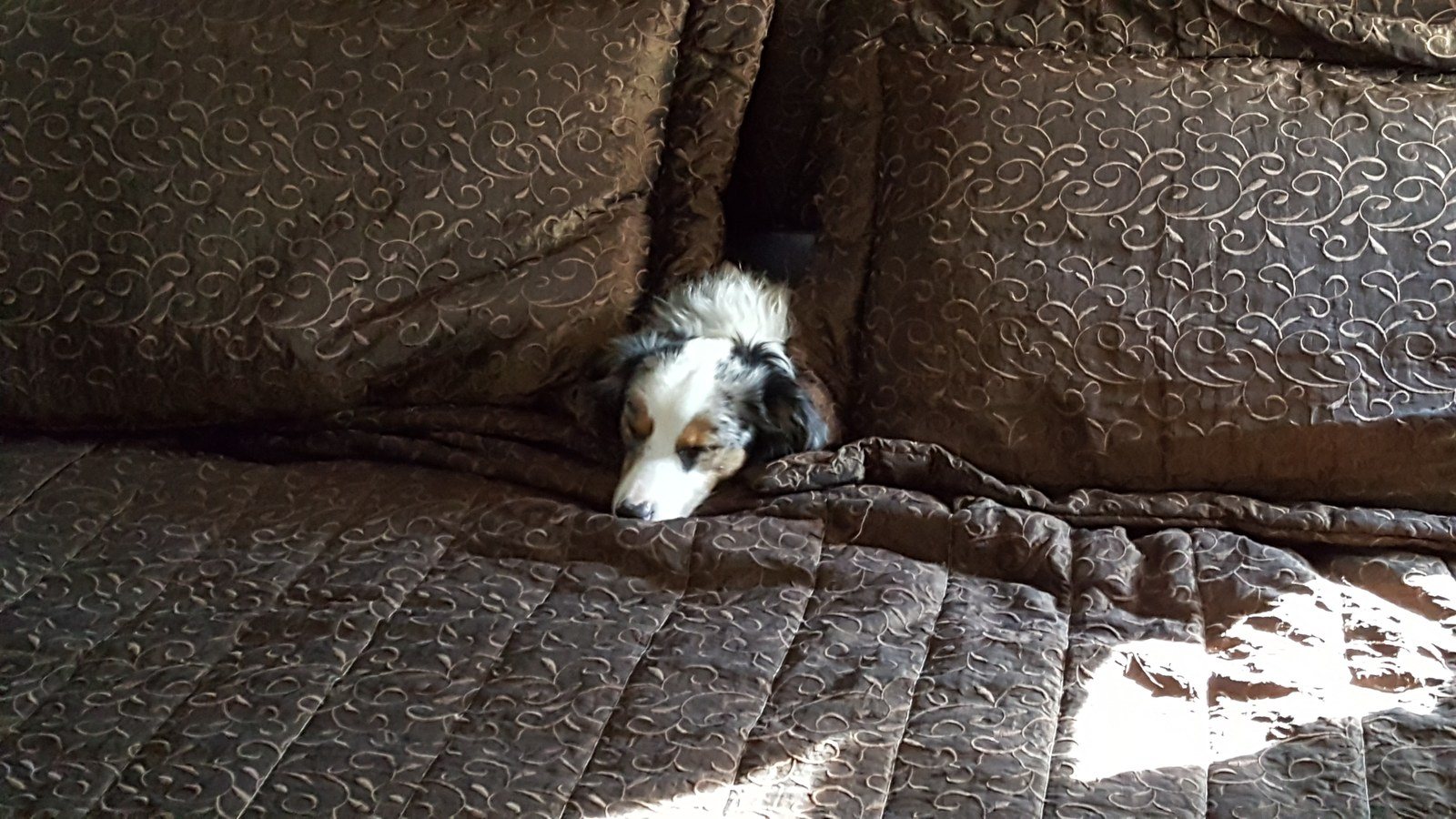 Just Make The Bed Around Me. Tx, Zzzzzzzz.