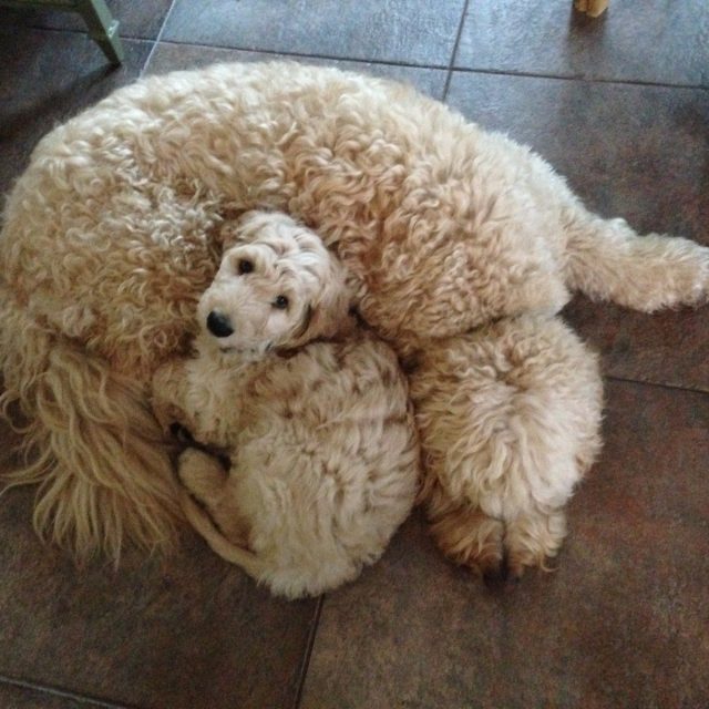 Brotherly Love!