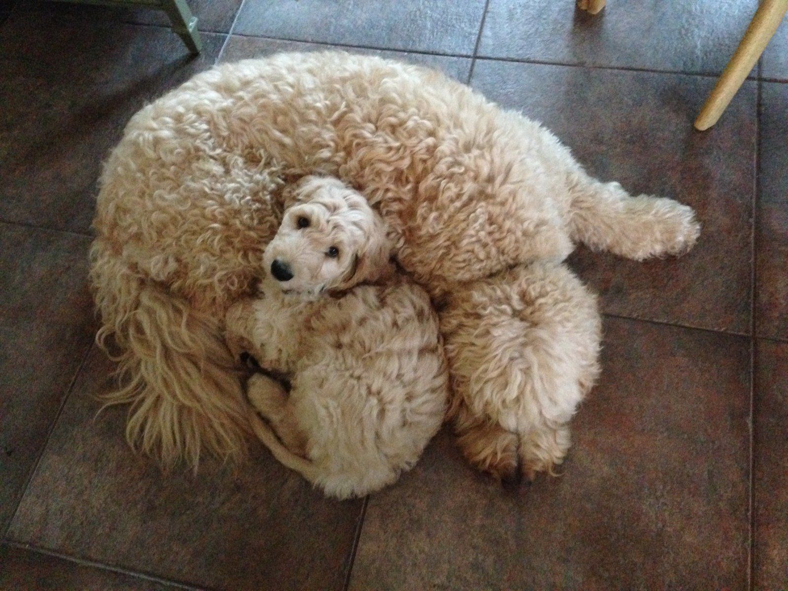 Brotherly Love!