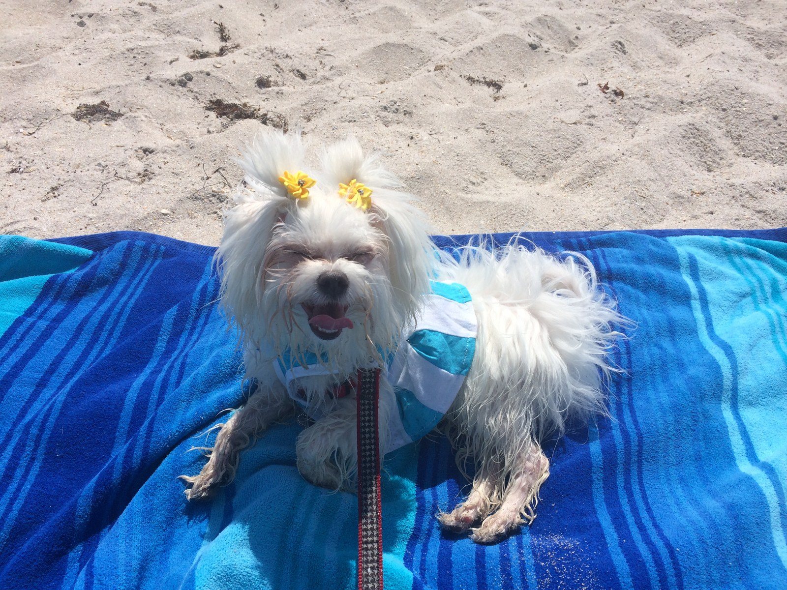My Lillie Beach Time