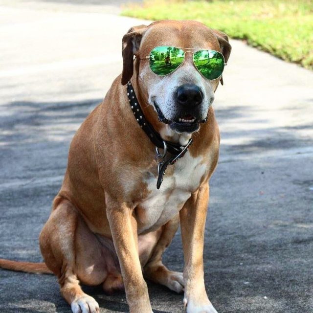 Gators' Hater Blockers!