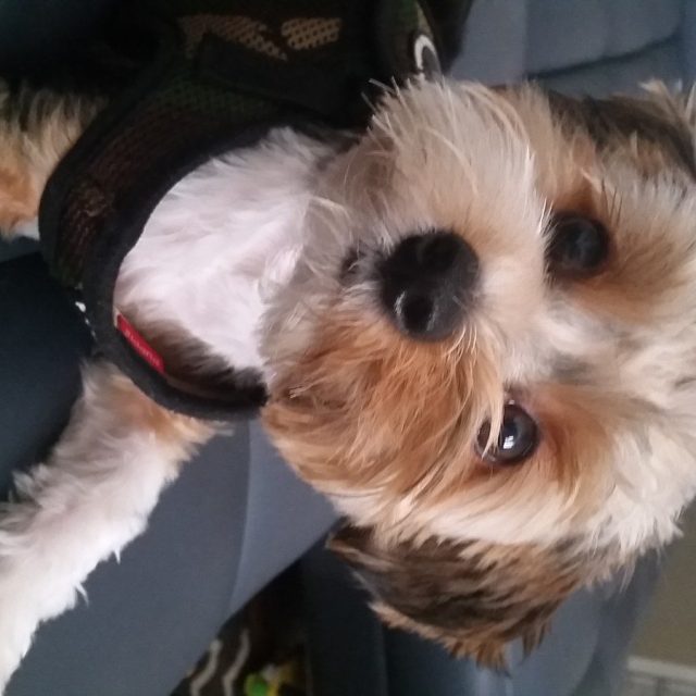 Who Me?!
