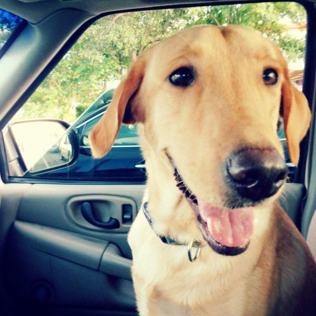 How Could You Say No To A Boy So Handsome?