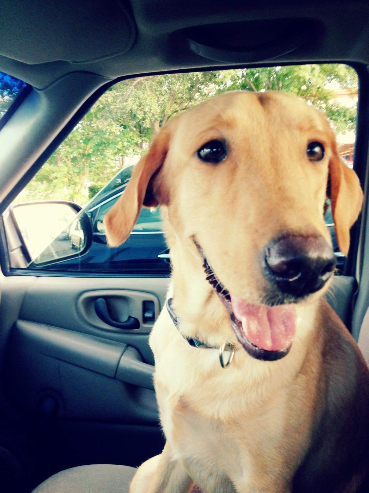 How Could You Say No To A Boy So Handsome?