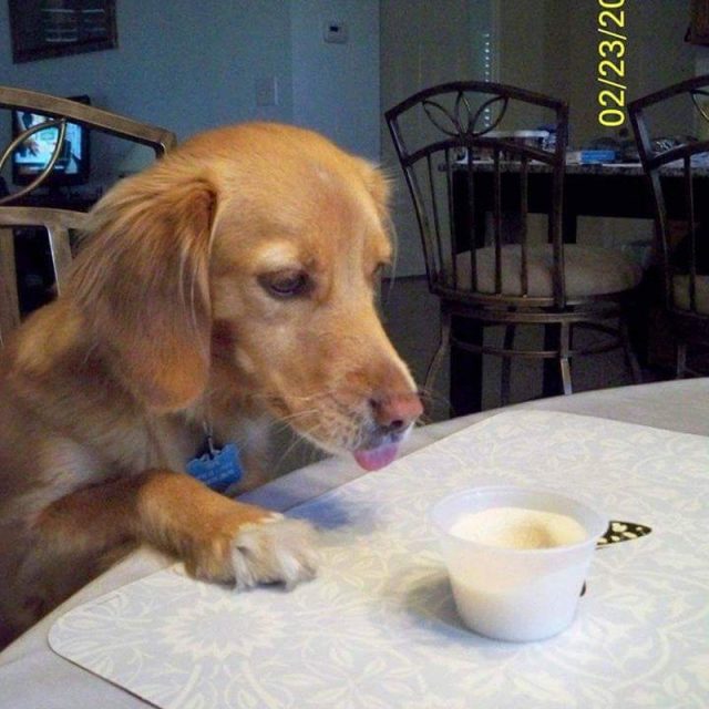 My Favorite Treat!