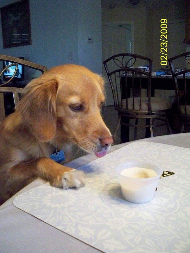 My Favorite Treat!