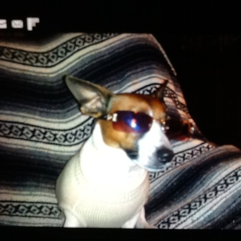 This Is My Poker Face !!