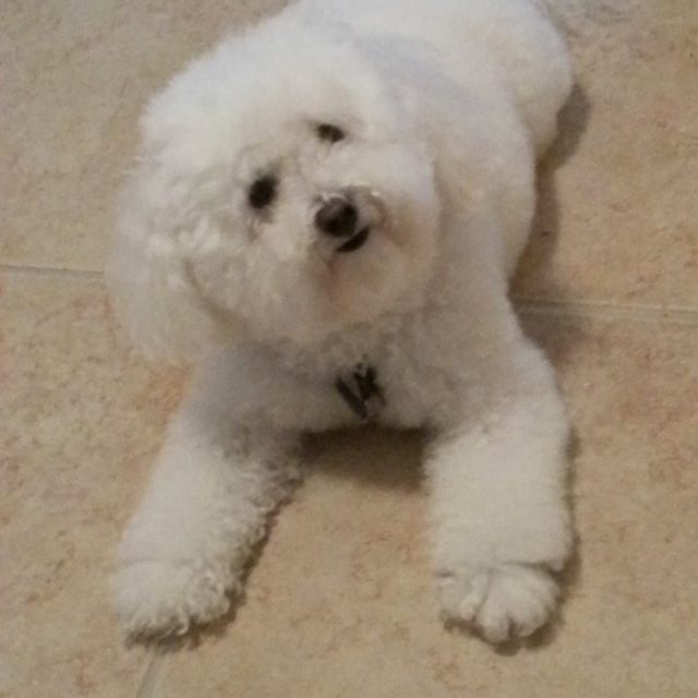 You Give Me Cookie