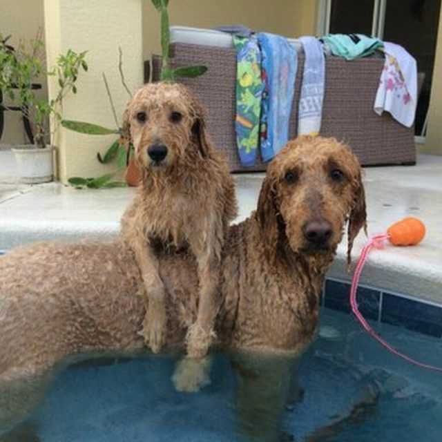 Chillin On A Hot Day