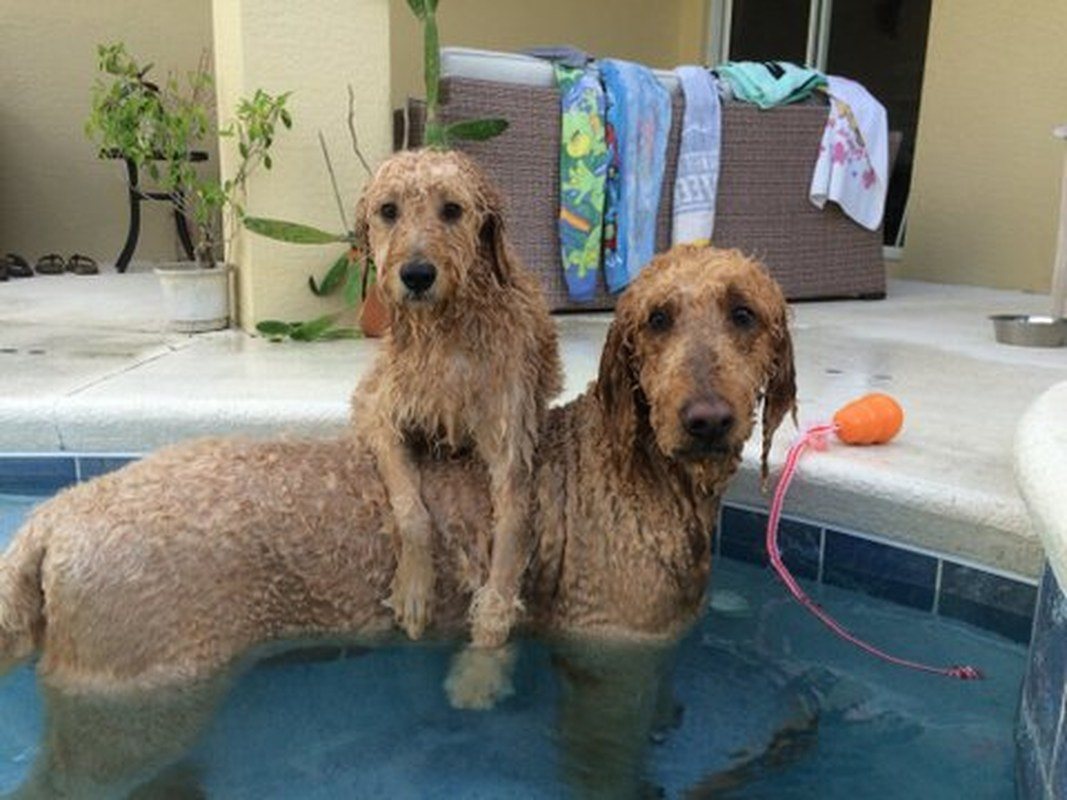 Chillin On A Hot Day