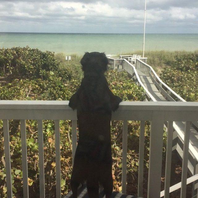 The Beach Is Calling And I Must Go