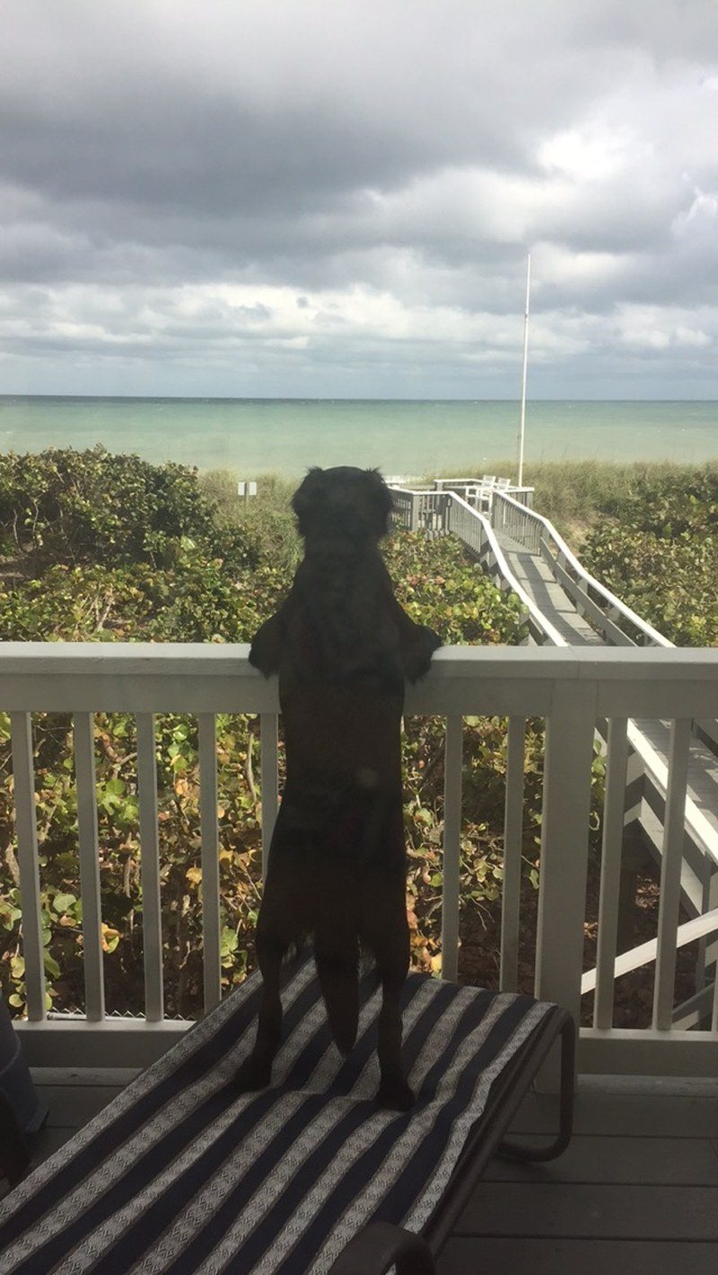 The Beach Is Calling And I Must Go