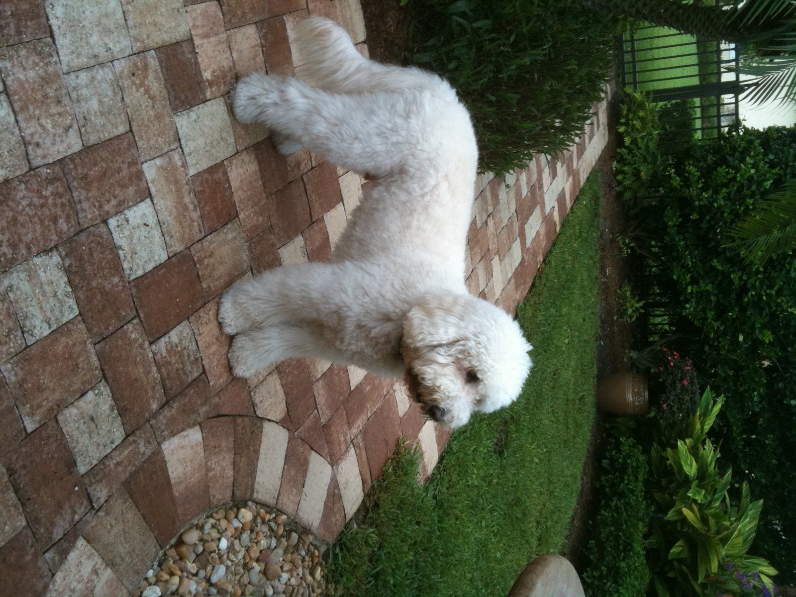 Marlow