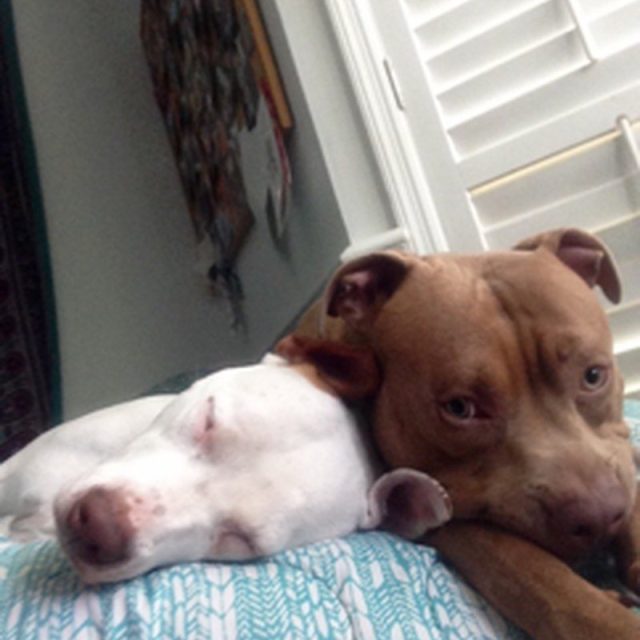 Snooozin'