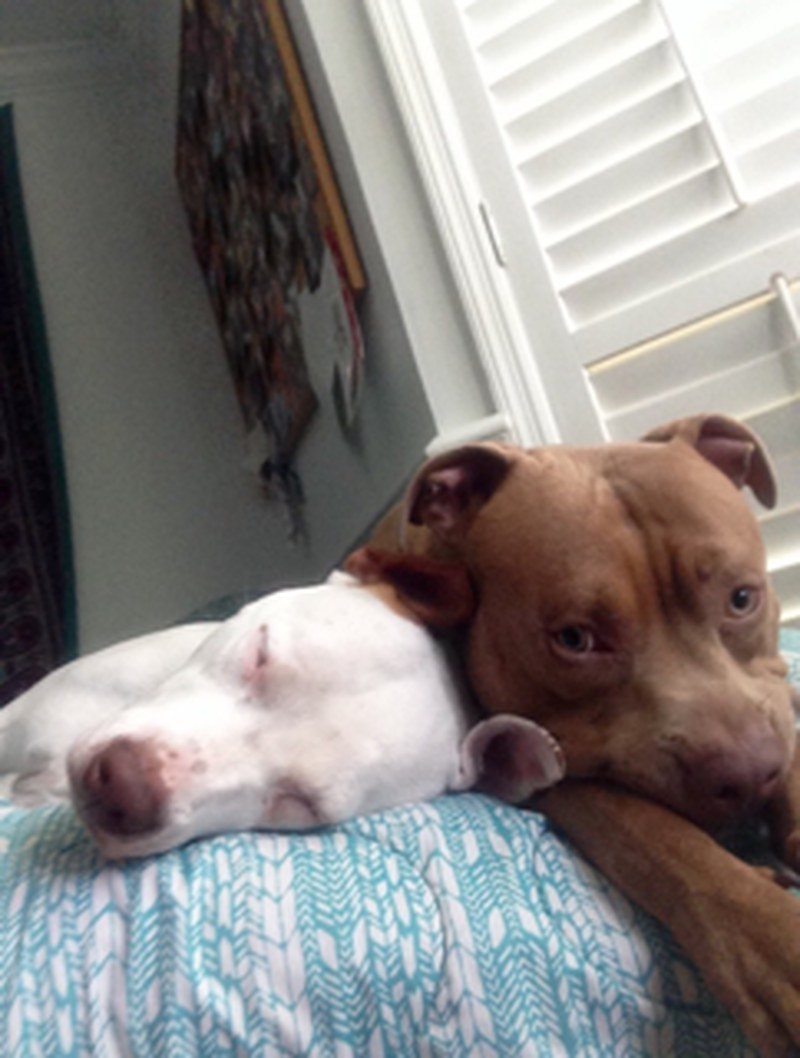 Snooozin'