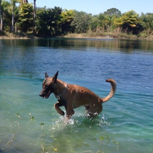 Niko's First Swim