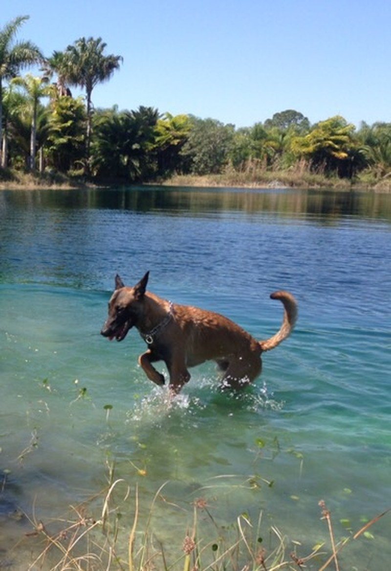 Niko's First Swim