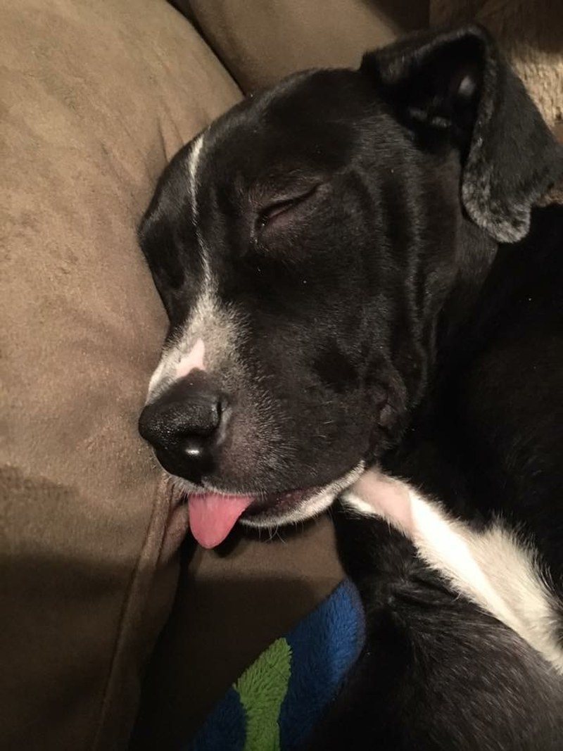 Too Tired To Keep My Tongue In