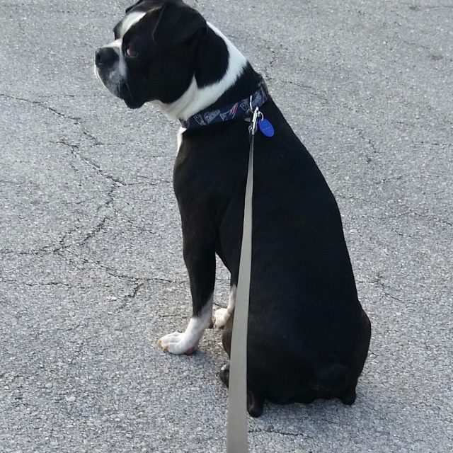 King Of The Road