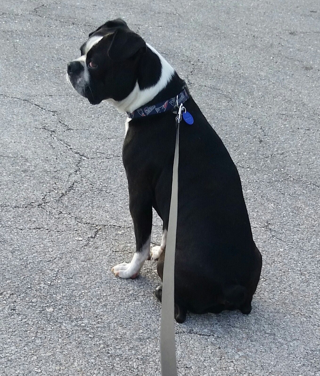 King Of The Road