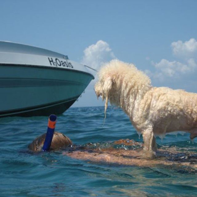 Along For The Ride