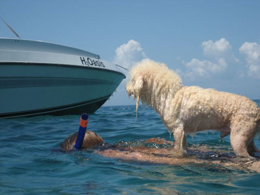 Along For The Ride