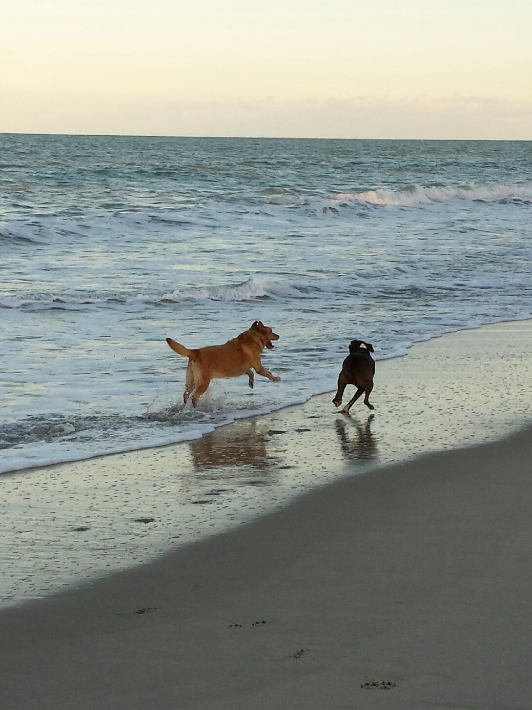Joy, Real Joy