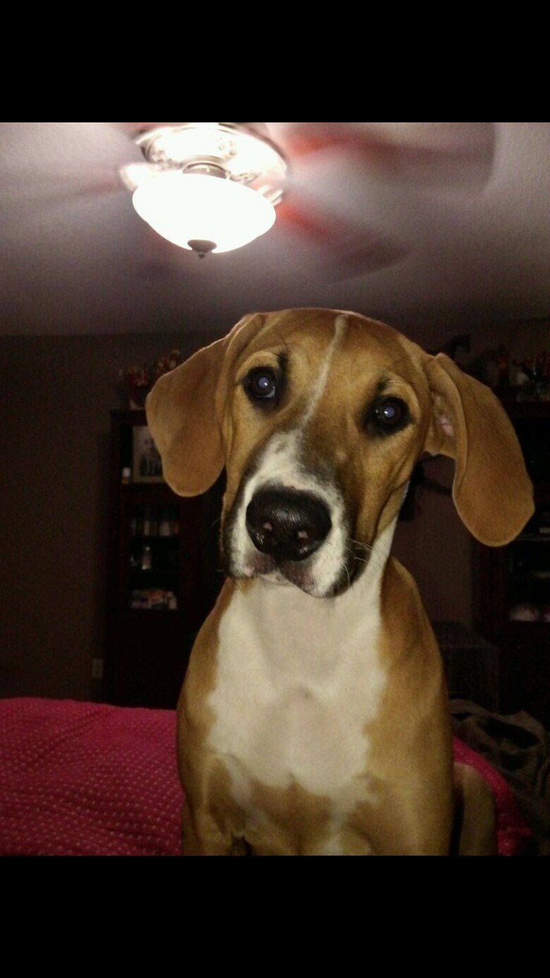 Is That Food I Hear?