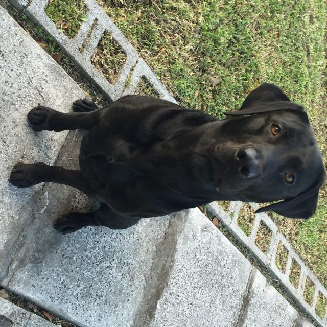 When Are We Playing?!