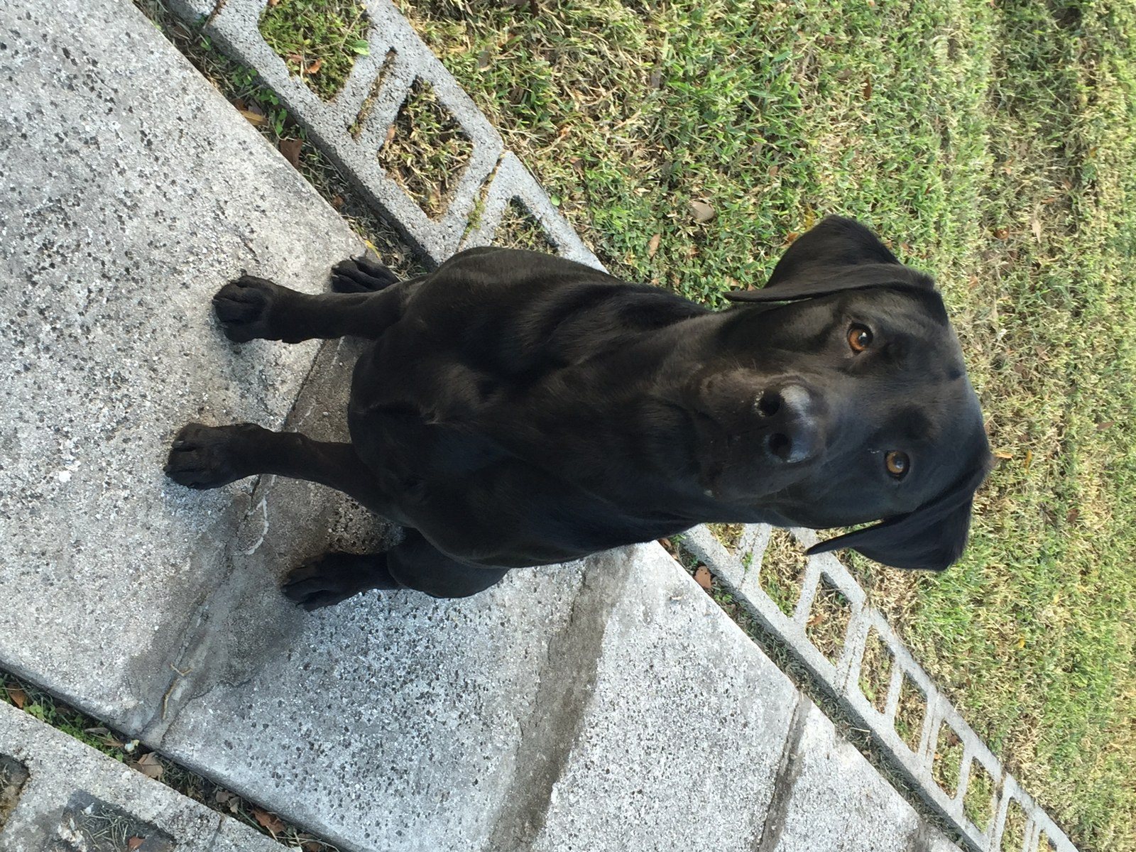 When Are We Playing?!