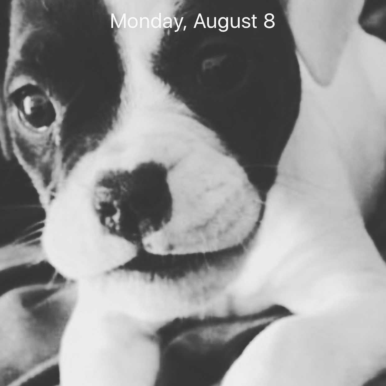 Baby Bella