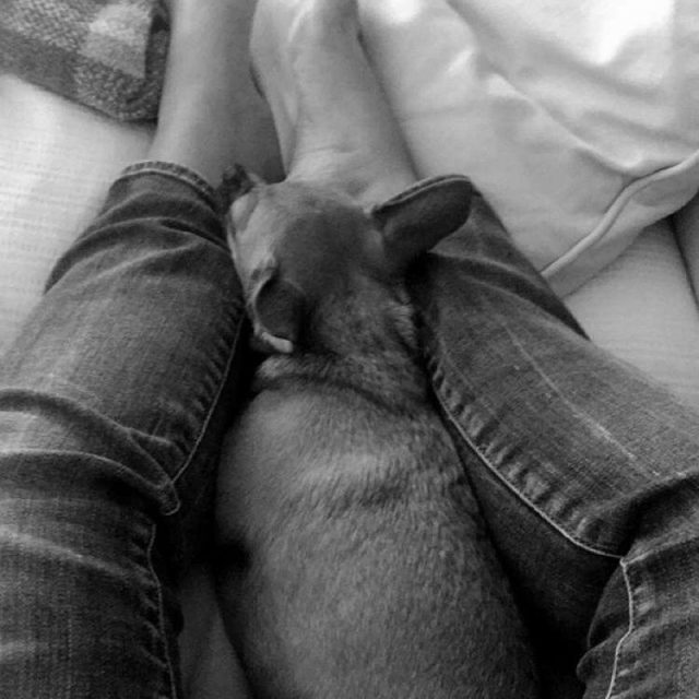 Bare Foot Blue Jean Sunday