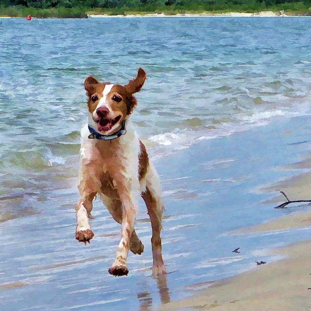 Sonny's Blazin' On The Beach