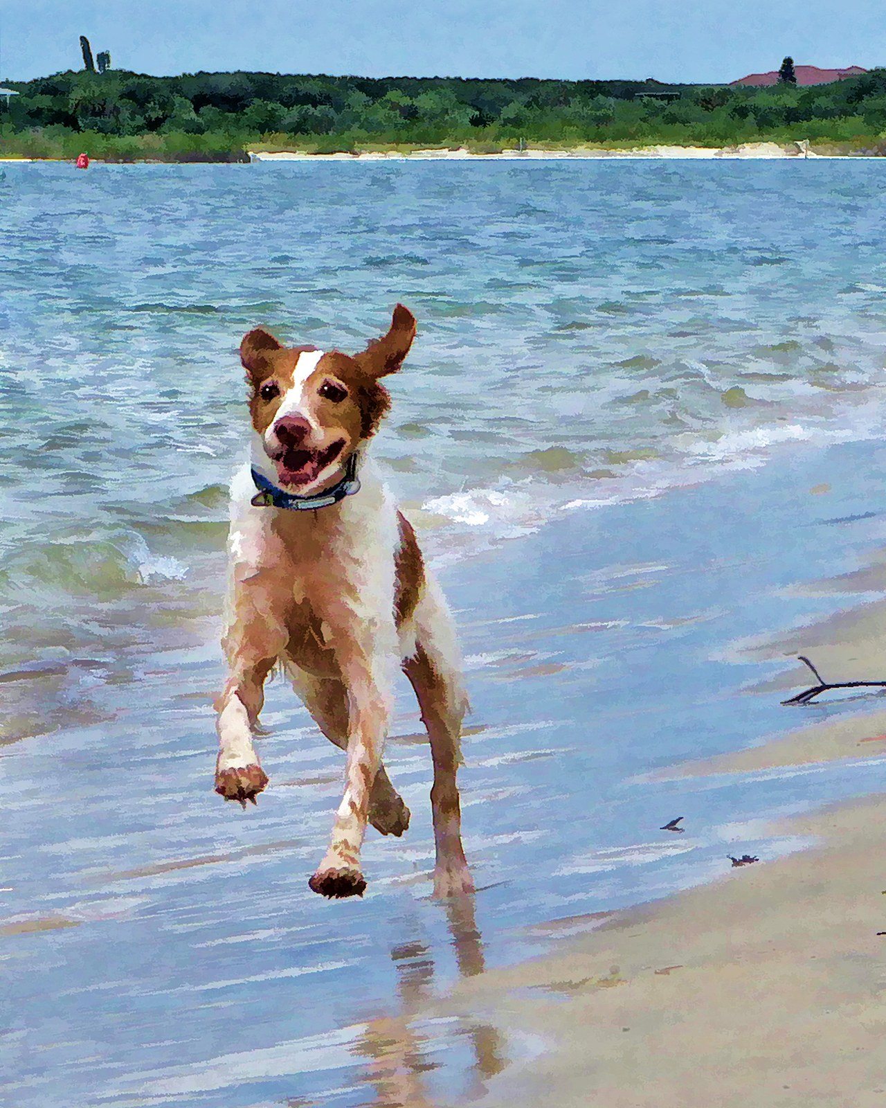 Sonny's Blazin' On The Beach