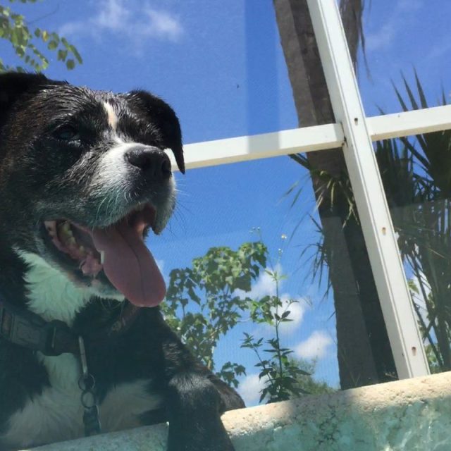 Sunbathing