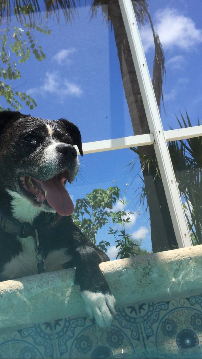 Sunbathing