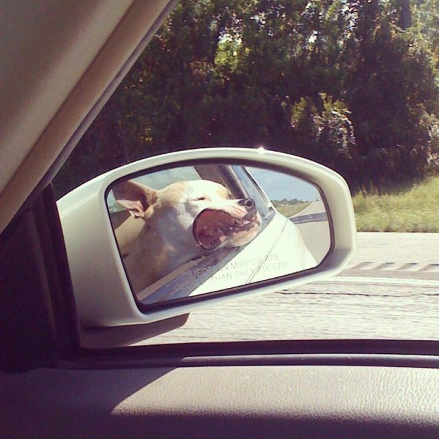 Blowin In The Wind