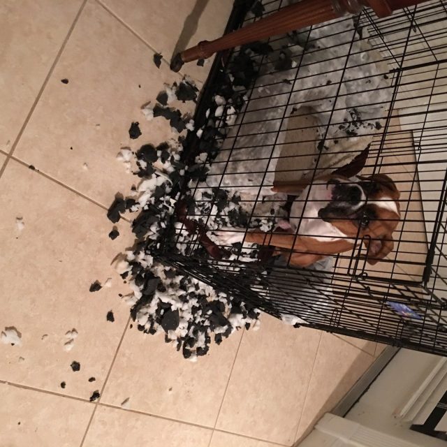 "It Wasn't Me"