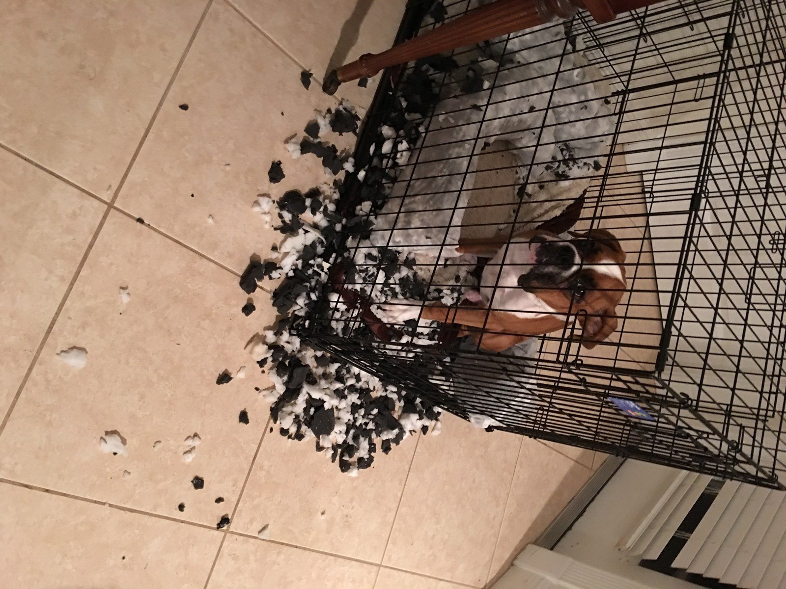 "It Wasn't Me"